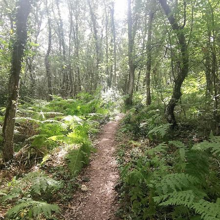 Estancia Con Jardin Entre Golf Y Monte - Cerca Logrono Sojuela Eksteriør bilde