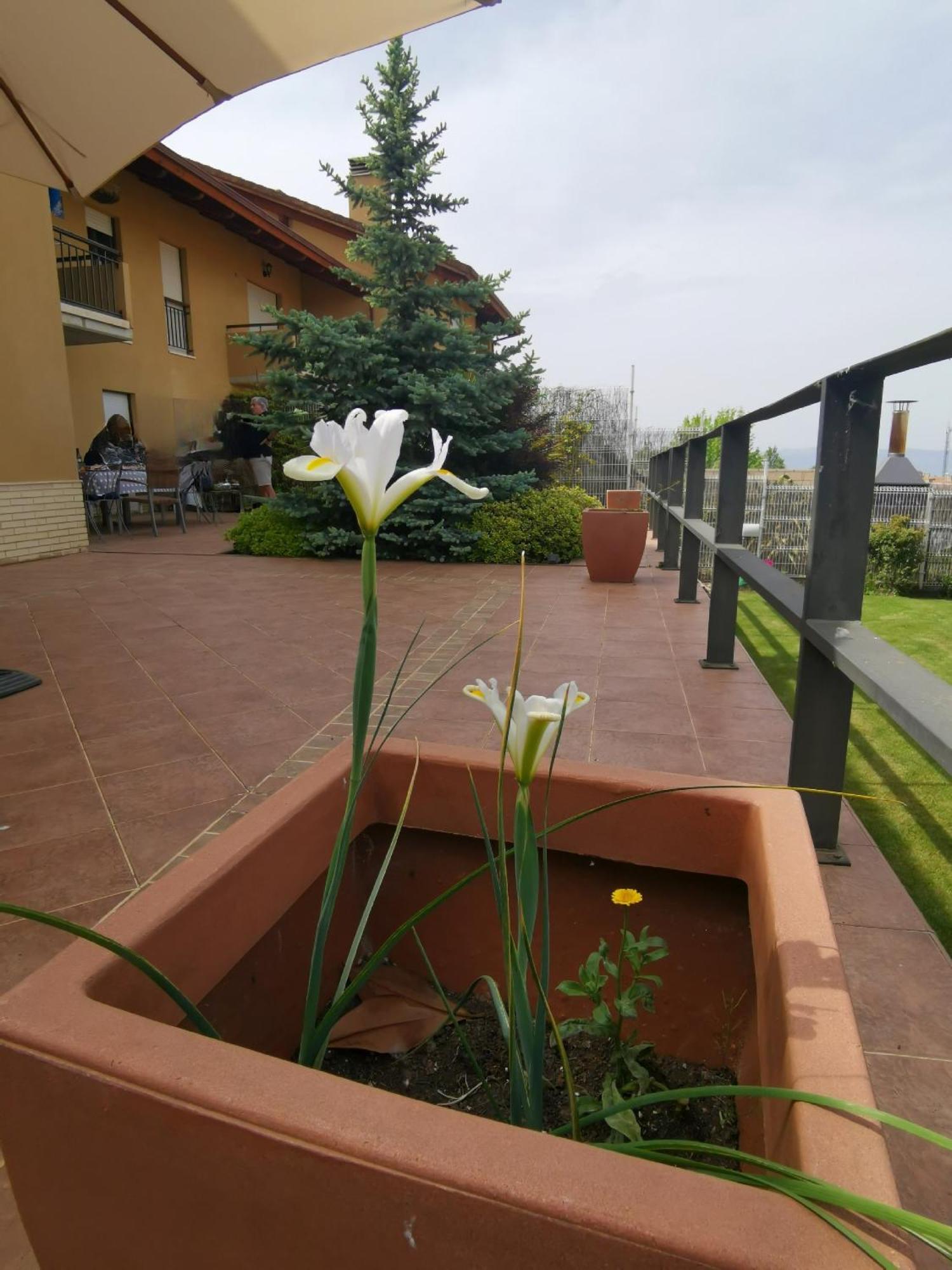 Estancia Con Jardin Entre Golf Y Monte - Cerca Logrono Sojuela Eksteriør bilde